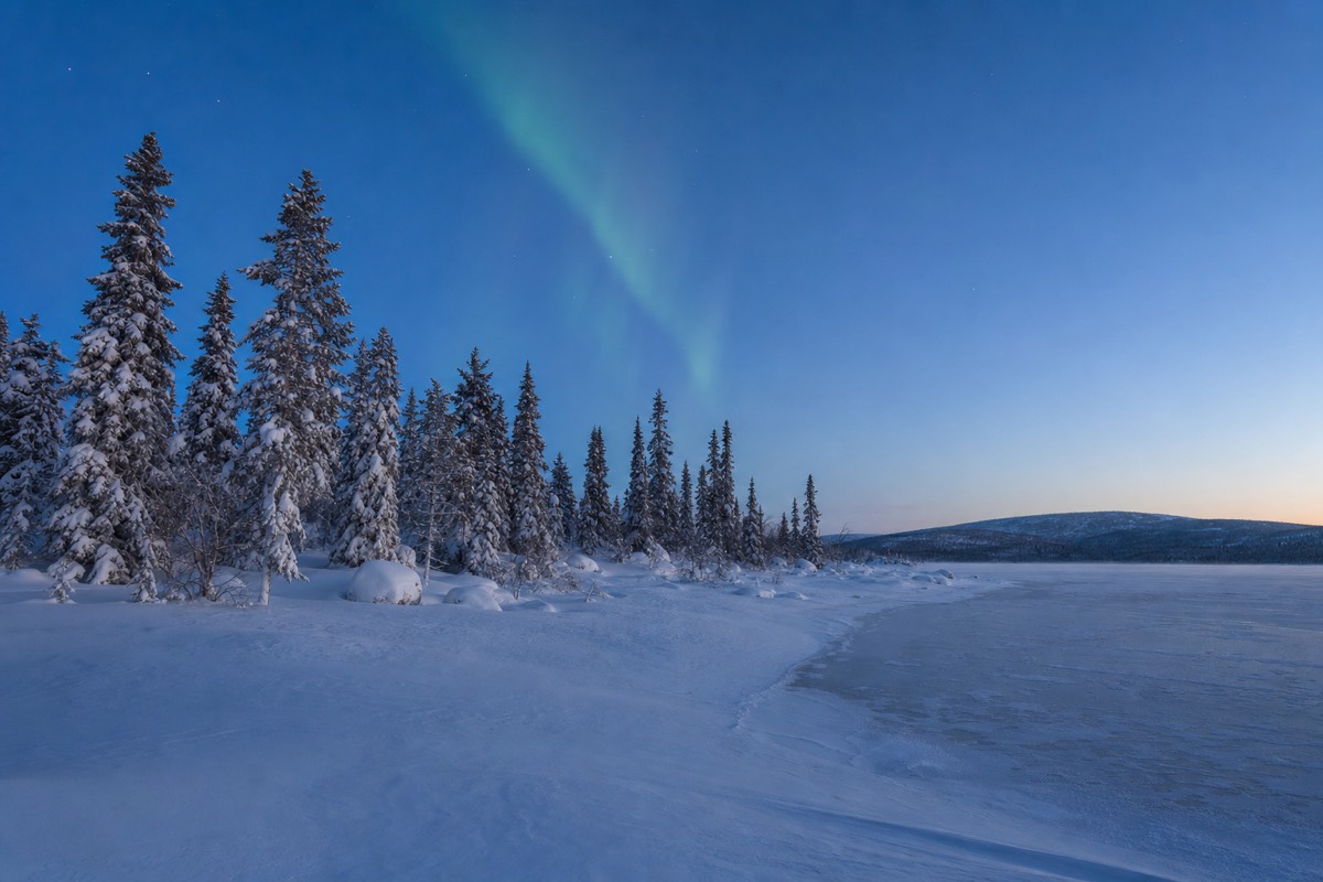 Winter landscape in Finnish Lapland at blue hour with snow-laden spruce forest