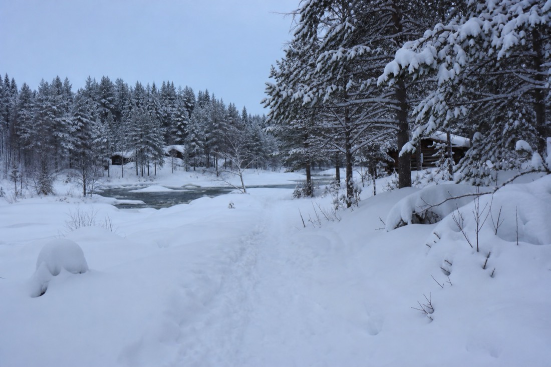 Snow-covered Finnish Lapland landscape in natural winter light
