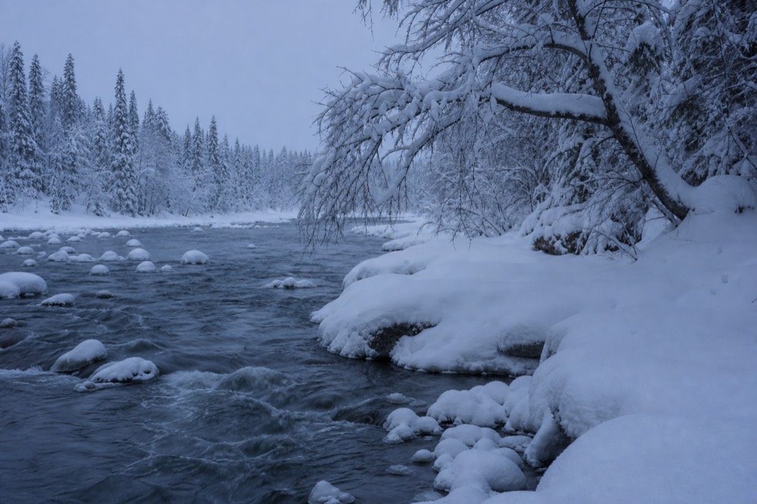 Snow-covered Finnish Lapland landscape in natural winter light