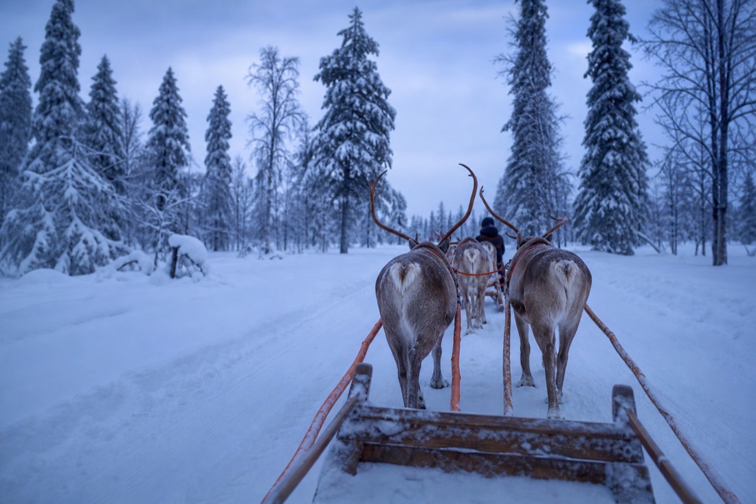 Snow-covered Finnish Lapland landscape in natural winter light