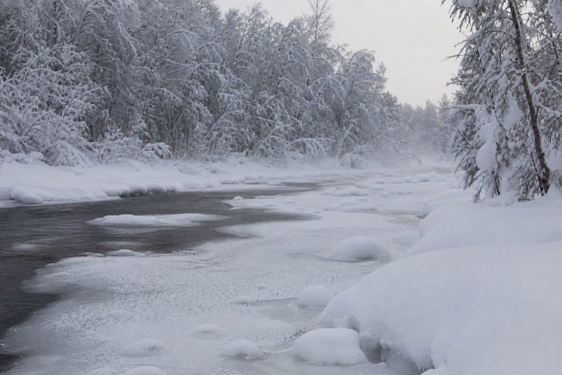 Snow-covered Finnish Lapland landscape in natural winter light