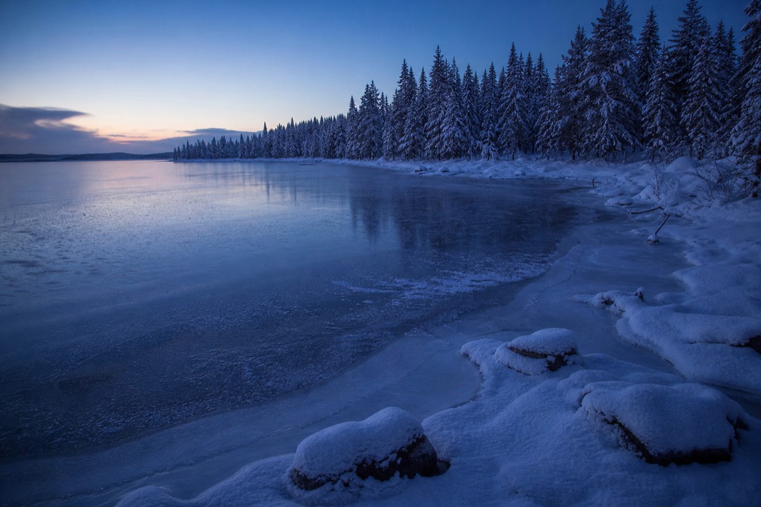 A frozen lake edge in Finnish Lapland at blue hour, snow-laden spruce along the far shore