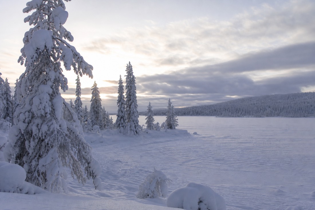 Snow-covered Finnish Lapland landscape in natural winter light