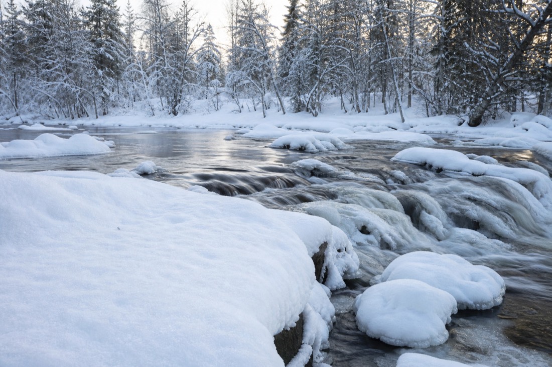 Snow-covered Finnish Lapland landscape in natural winter light