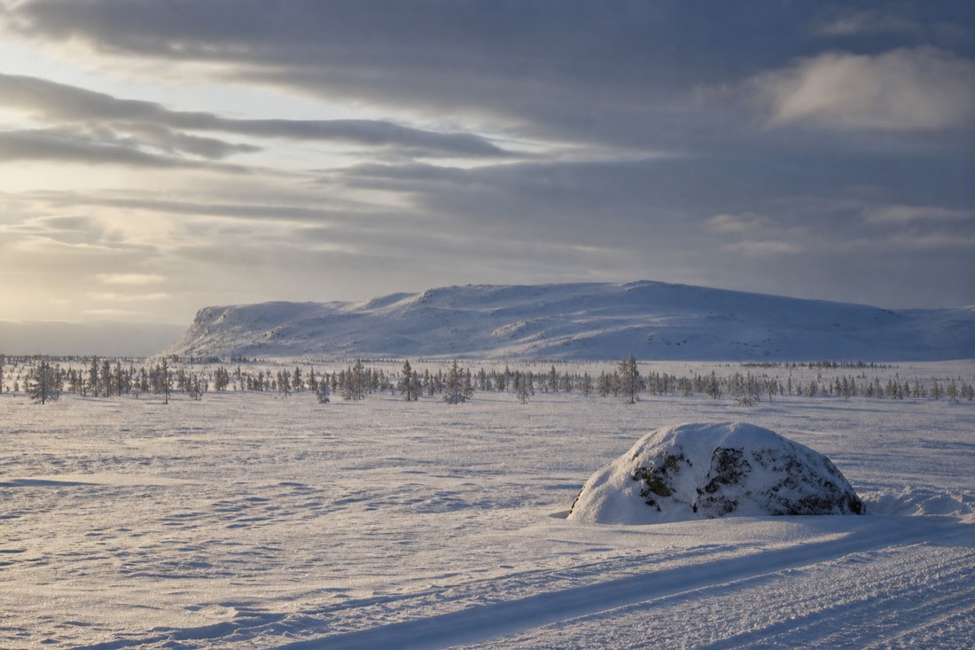 Snow-covered Finnish Lapland landscape in natural winter light
