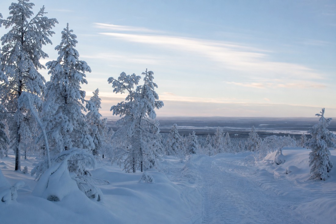 Snow-covered Finnish Lapland landscape in natural winter light