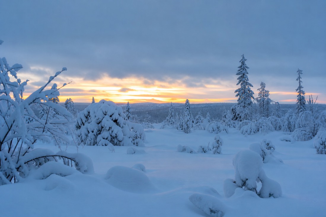 Snow-covered Finnish Lapland landscape in natural winter light
