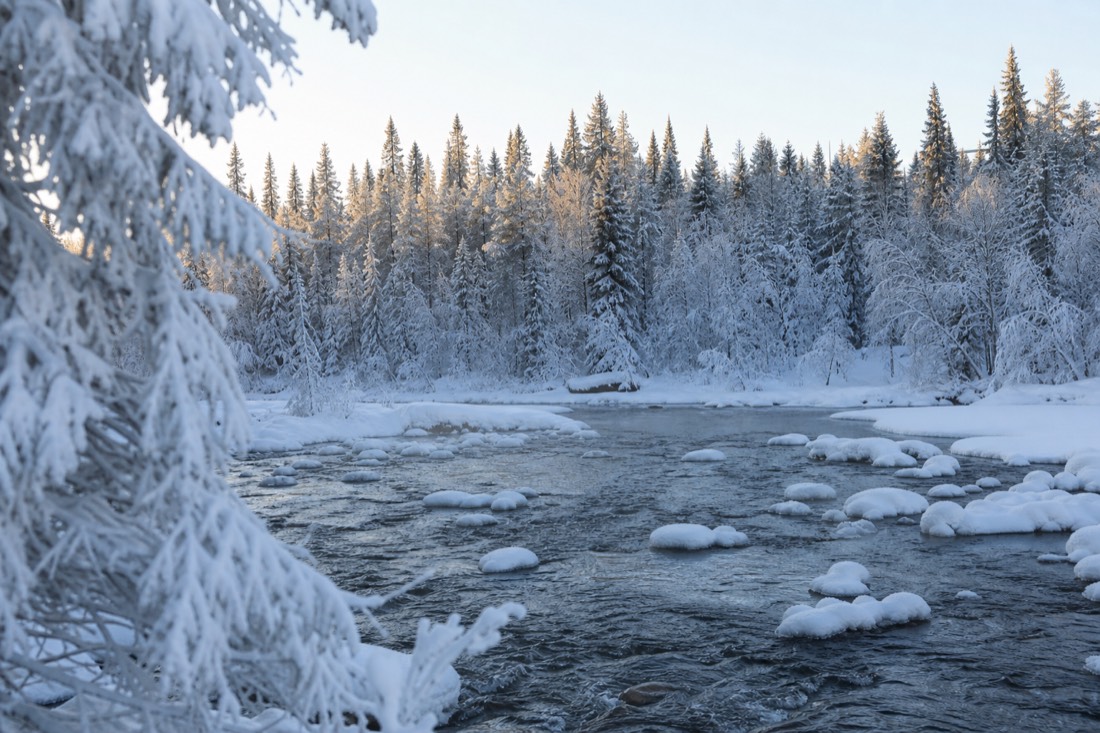Snow-covered Finnish Lapland landscape in natural winter light