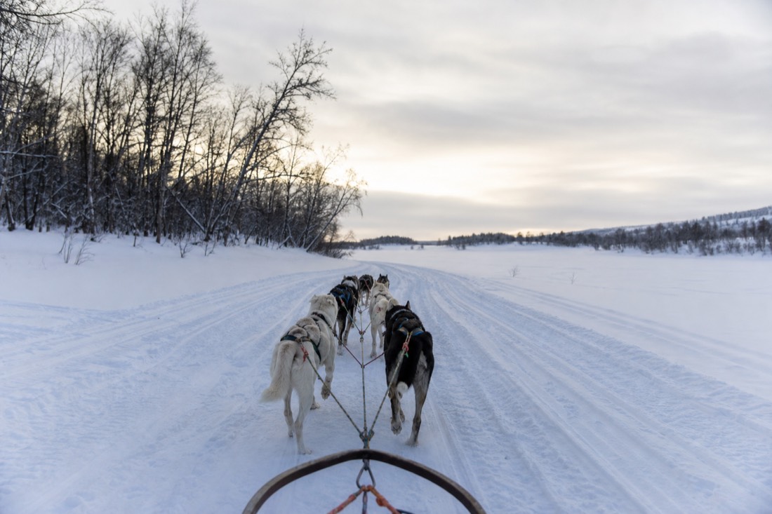 Snow-covered Finnish Lapland landscape in natural winter light