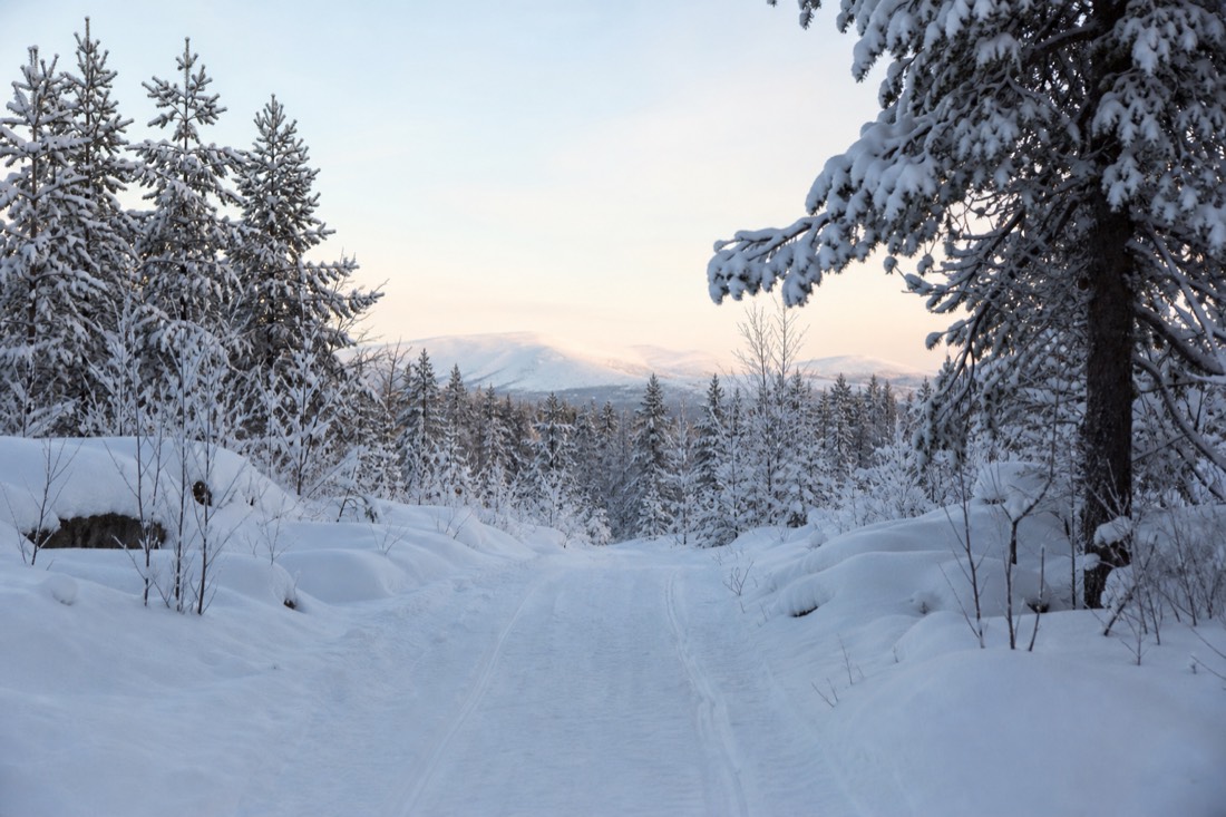 Snow-covered Finnish Lapland landscape in natural winter light