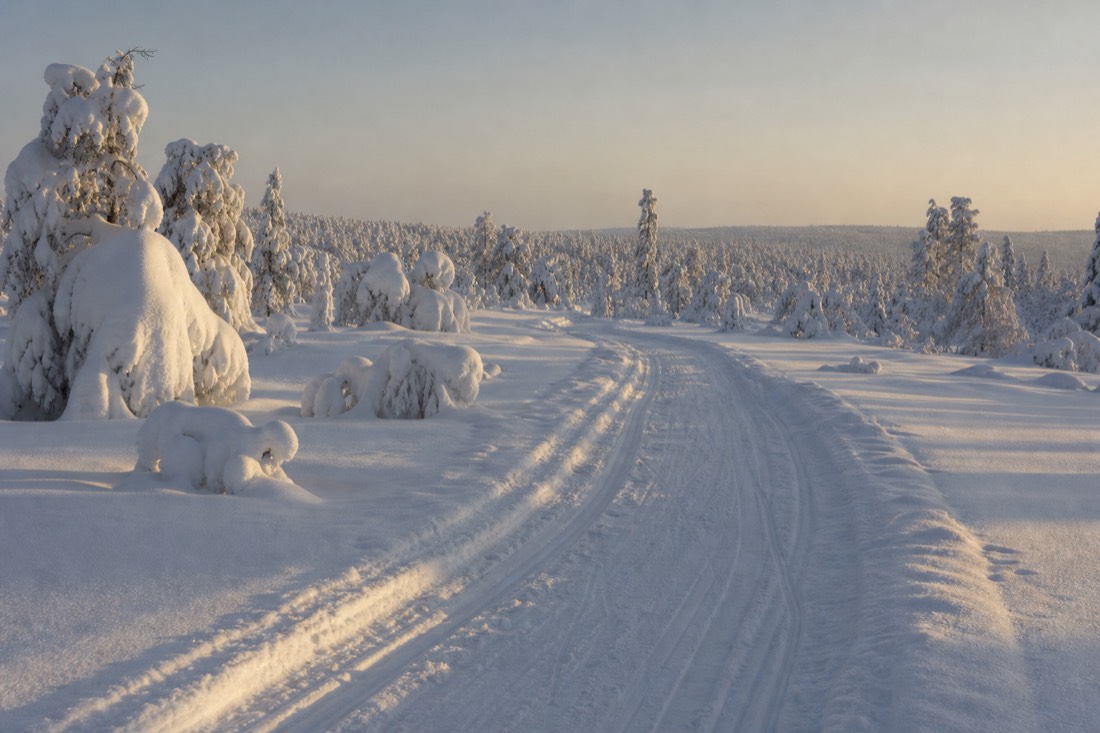 Snow-covered Finnish Lapland landscape in natural winter light