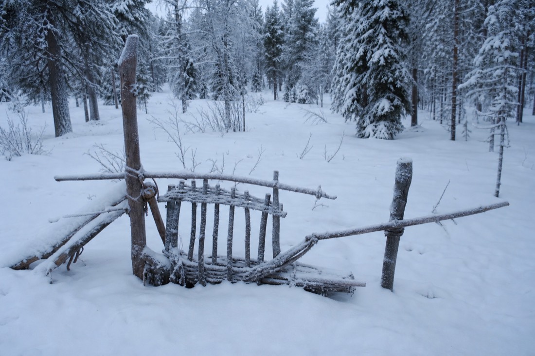 Snow-covered Finnish Lapland landscape in natural winter light