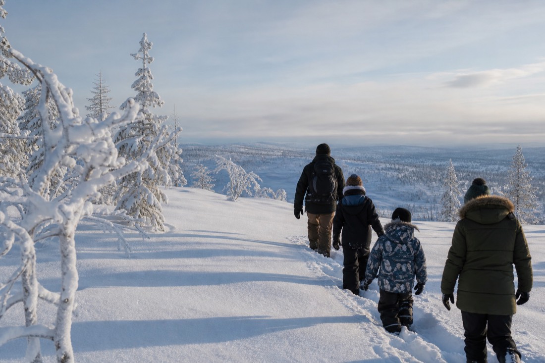Snow-covered Finnish Lapland landscape in natural winter light