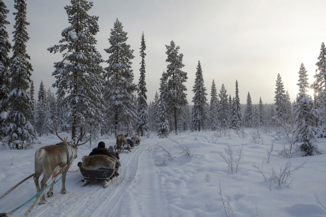 Snow-covered Finnish Lapland landscape in natural winter light