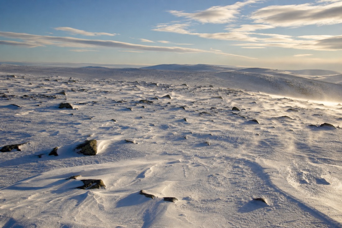 Drifted snow shaped by wind on an open Lapland fell, late light
