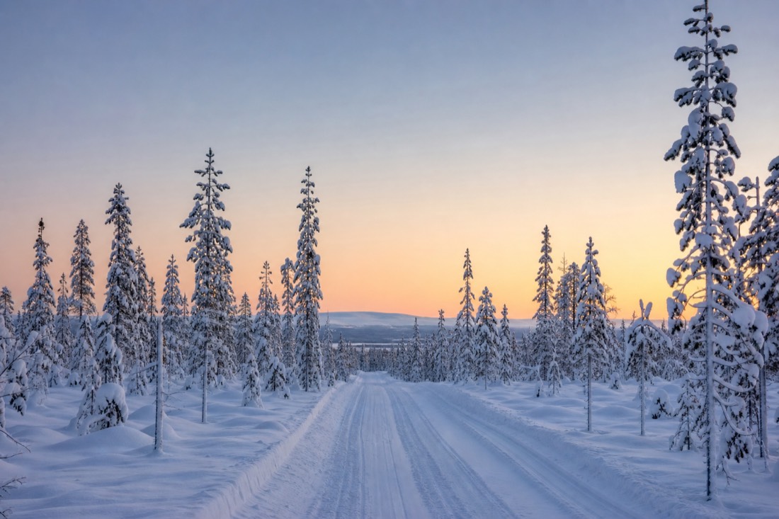 A cleared track through deep snow leading into Lapland forest at first light