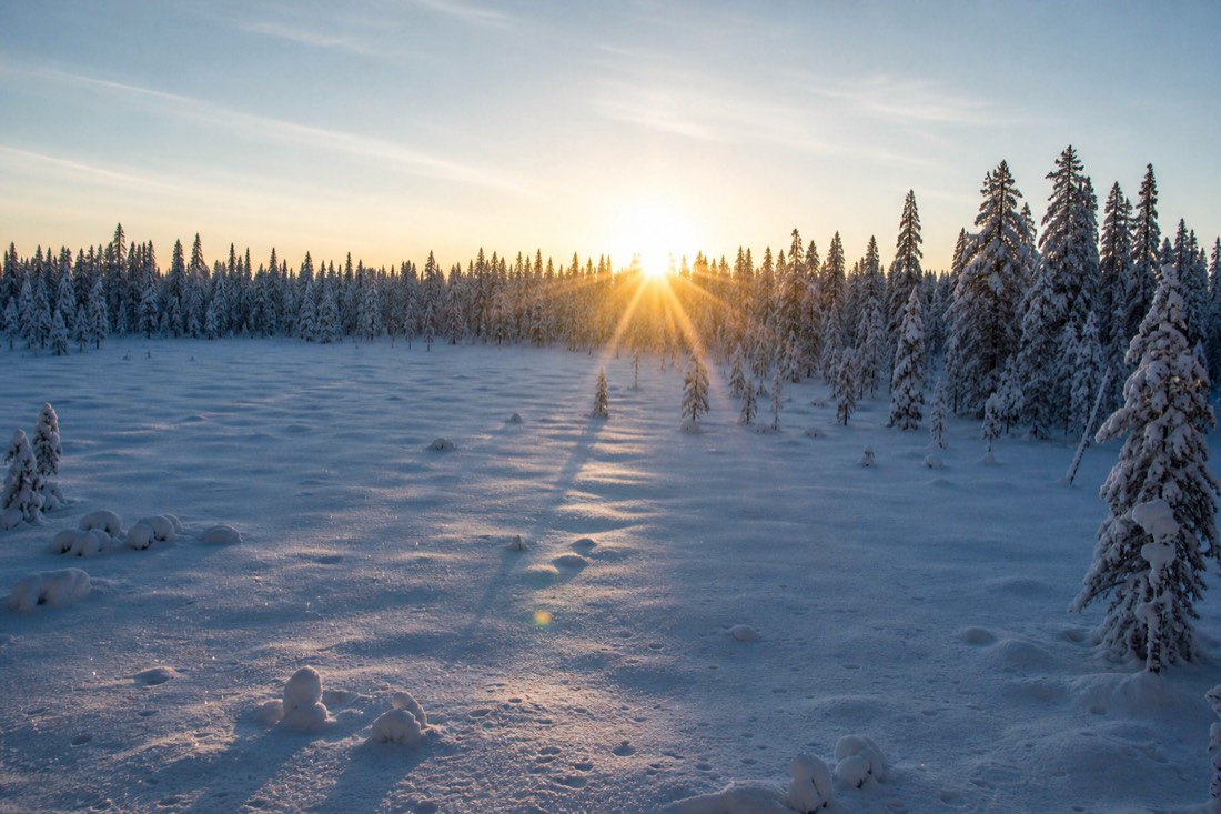 Low winter sun just clearing the treeline over a snowfield in Finnish Lapland